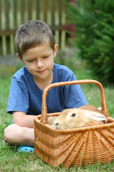 Pojke och kanin — Stockfoto
