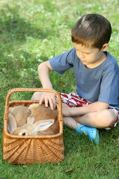 stock image Boy and rabbit