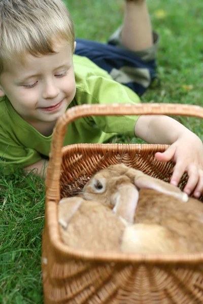 stock image Boy and rabbit