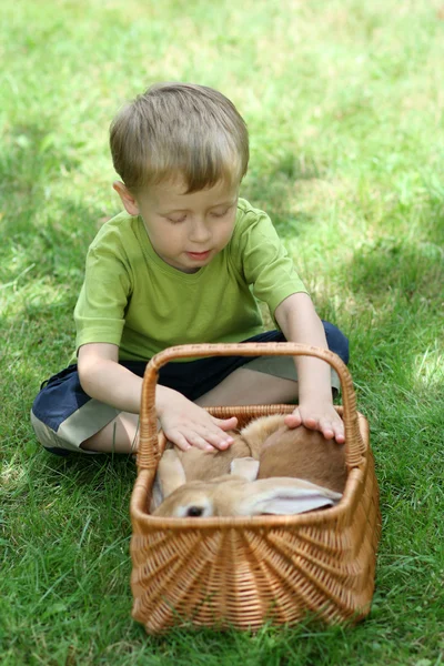 stock image Boy and rabbit