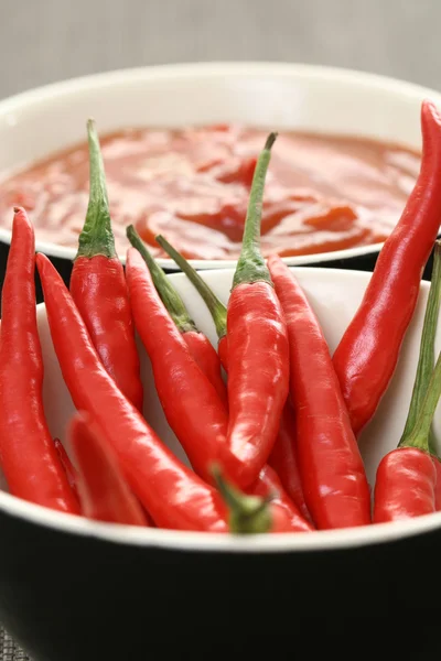 Hot salsa mexicana — Stock Photo, Image