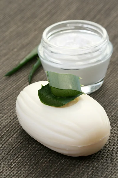 stock image Aloe vera grooming product