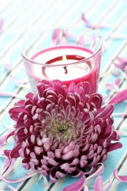 Flower and candle clipart