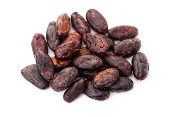 Kacang Cocoa — Stok Foto