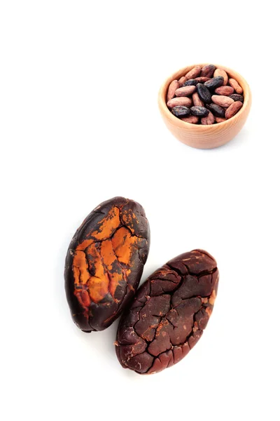 코코아 콩 — 스톡 사진