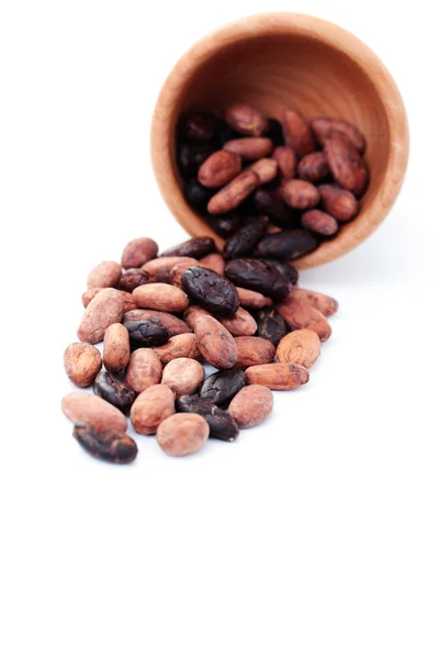 Kakaové boby — Stock fotografie