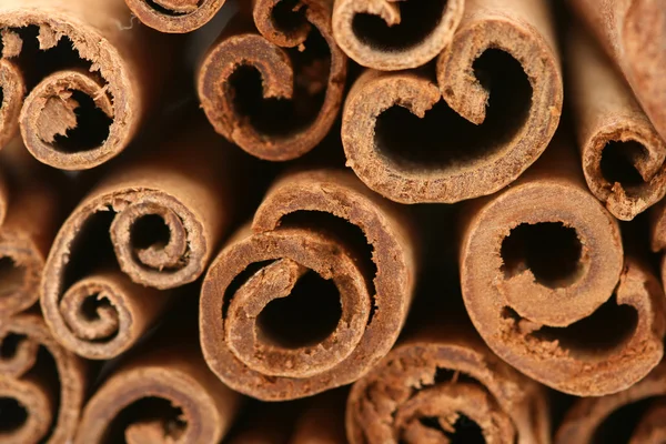 stock image Cinnamon sticks