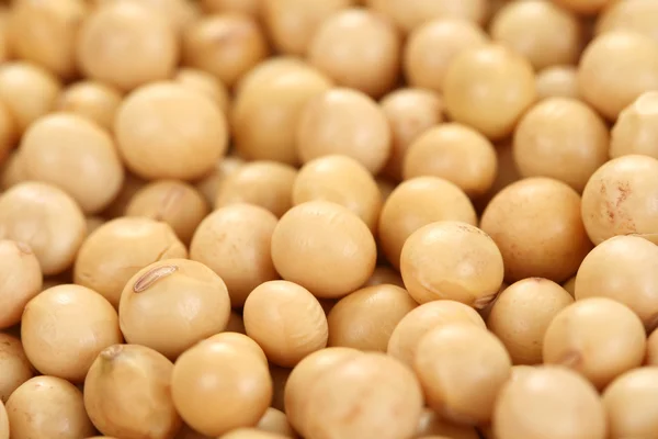 Soybeans — Stock Photo, Image