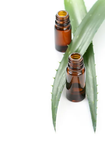 Óleo essencial de Aloe vera — Fotografia de Stock