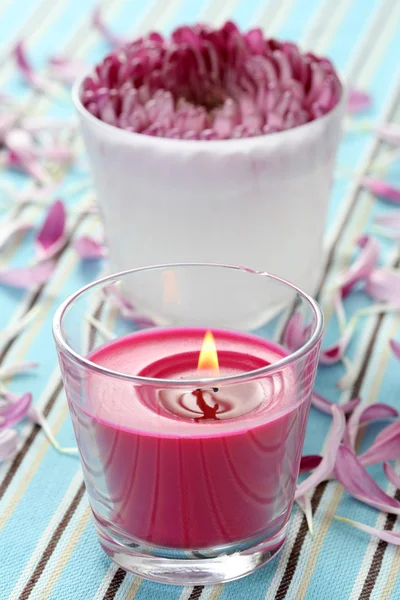 Flower and candle — Stock Photo, Image