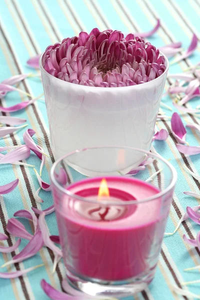 Fiore e candela — Foto Stock