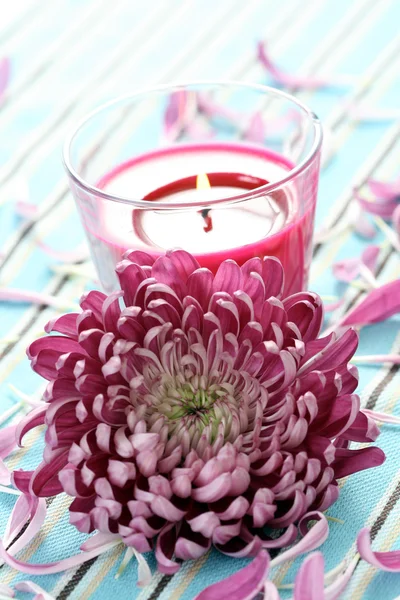 Kwiat i świeca — Zdjęcie stockowe