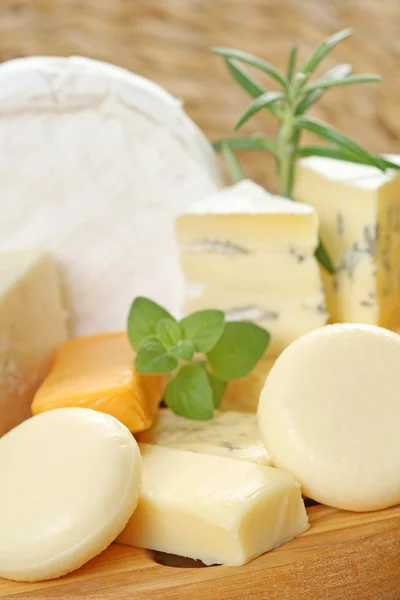 Tabuleiro de queijo — Fotografia de Stock