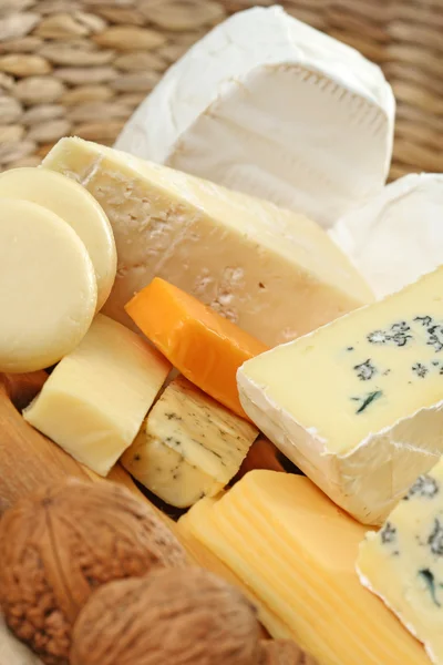 Tabuleiro de queijo — Fotografia de Stock