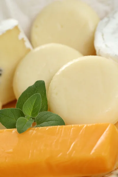 Bordo di formaggio — Foto Stock