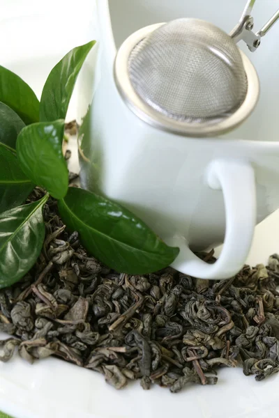 一杯绿茶 — 图库照片