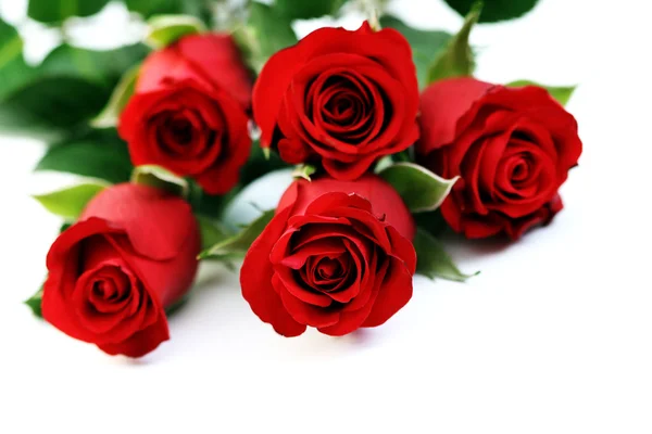 Cinco rosas — Fotografia de Stock