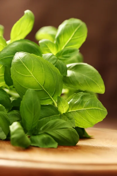 stock image Fresh basil