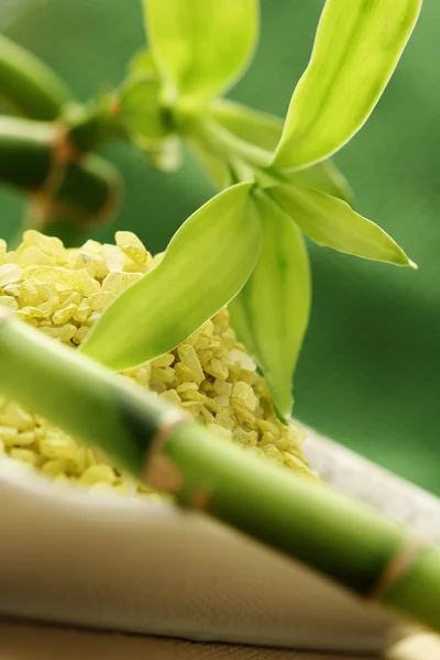 Koupelová sůl s zelený bambus — Stock fotografie
