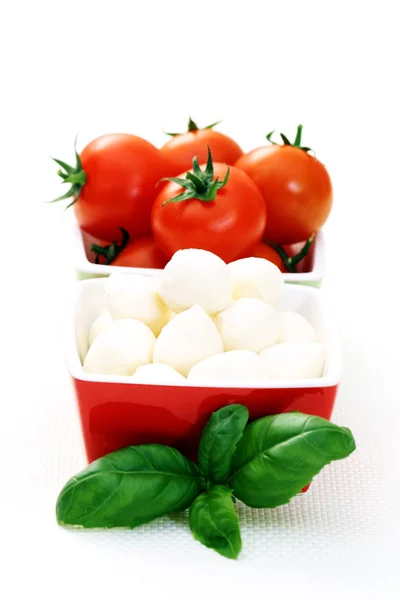 Mozzarella and cherry tomatoes — Stock Photo, Image