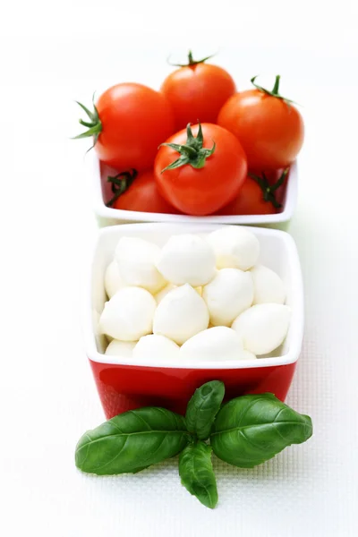 Mozzarella und Kirschtomaten — Stockfoto