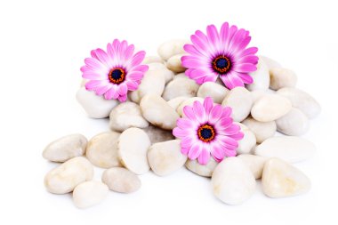 Stones and flowers clipart