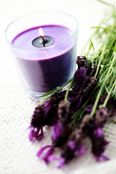 라벤더와 촛불 — 스톡 사진