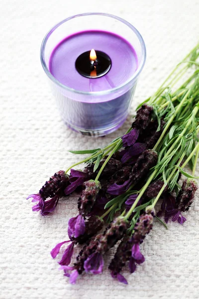 Candle with lavender — Stock Photo, Image