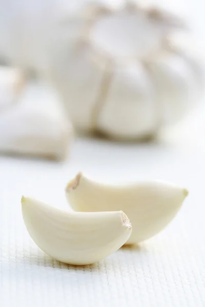 stock image Garlic