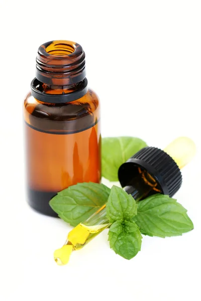 Peppermint oil — Stock Photo, Image