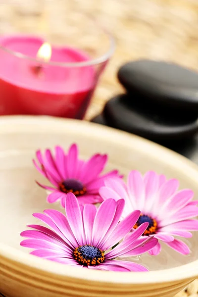 Kom Met Zuiver Water Roze Bloemen Schoonheidsbehandeling — Stockfoto