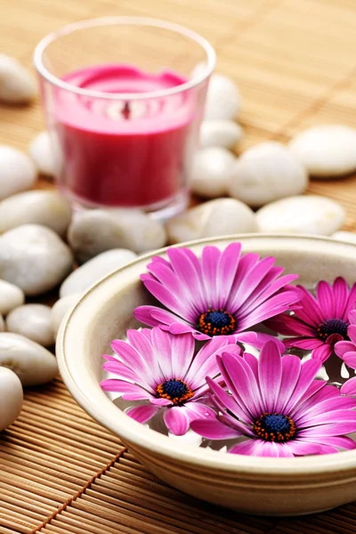 Tazón Agua Pura Flores Rosadas Tratamiento Belleza — Foto de Stock