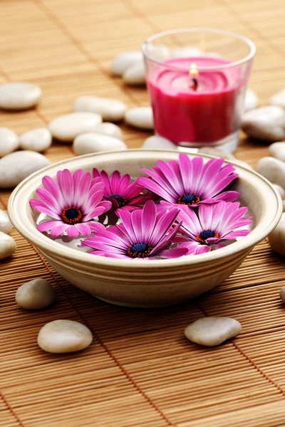 碗的纯净水和粉色的花 — 图库照片