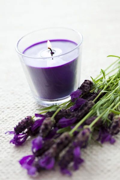 Candle with lavender Stock Photo