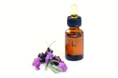 bottle of lavender oil and fresh lavender flowers - beauty treatment clipart