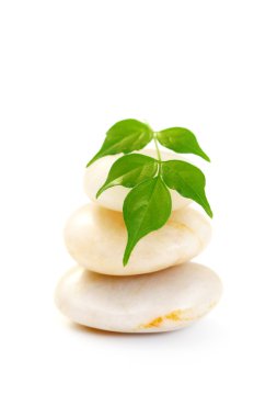stack of white stones and green leaves on white clipart