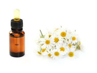 Camomille essential oil clipart