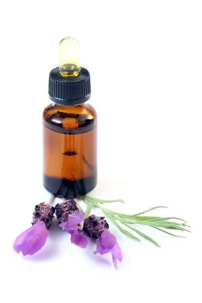 Bottle Lavender Oil Fresh Lavender Flowers Beauty Treatment — Stock Photo, Image