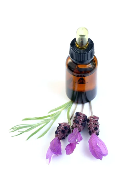 Botella Aceite Lavanda Flores Lavanda Fresca Tratamiento Belleza —  Fotos de Stock
