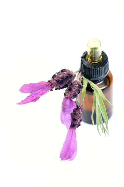 Botella Aceite Lavanda Flores Lavanda Fresca Tratamiento Belleza —  Fotos de Stock