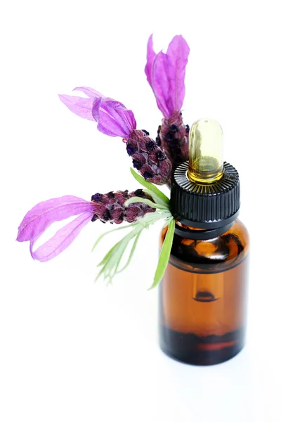 Flasche Lavendelöl Und Frische Lavendelblüten Schönheitsbehandlung — Stockfoto