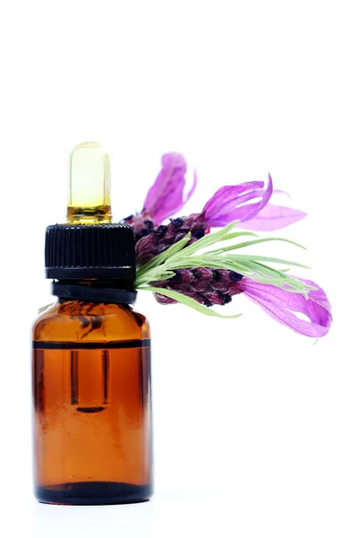 Lavender oil — Stock Photo, Image