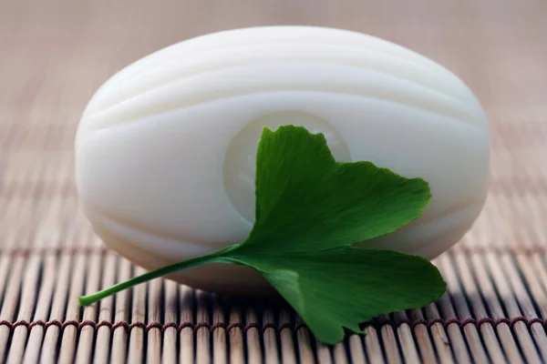 Ginko Φυσικό Σαπούνι Περιποίηση Ομορφιάς — Φωτογραφία Αρχείου