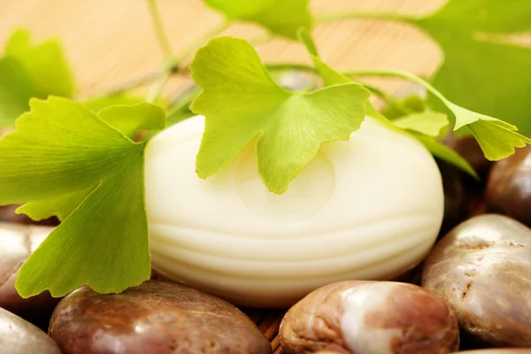 Natural Ginko Soap Beauty Treatment — Stock Photo, Image