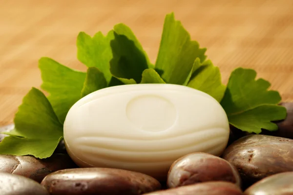 Jabón Ginko Natural Tratamiento Belleza —  Fotos de Stock