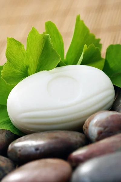 Jabón Ginko Natural Tratamiento Belleza —  Fotos de Stock
