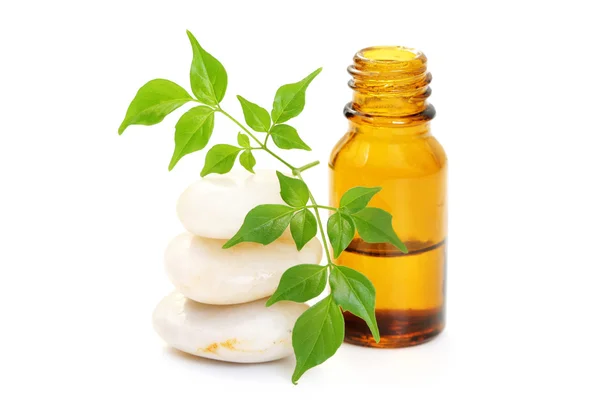 Botella Aceite Aromaterapia Hojas Verdes Frescas Tratamiento Belleza — Foto de Stock
