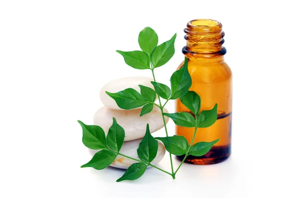Aceite de aromaterapia — Foto de Stock