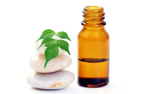 Fles Van Aromatherapie Olie Verse Groene Bladeren Schoonheidsbehandeling — Stockfoto