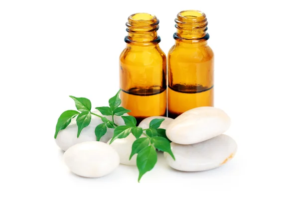 stock image Aromatherapy oil